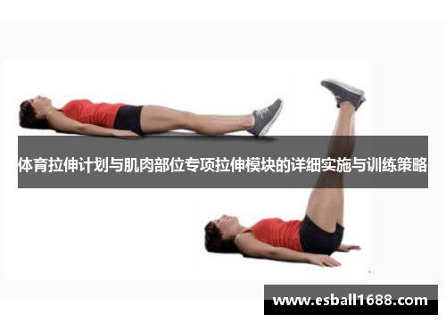 体育拉伸计划与肌肉部位专项拉伸模块的详细实施与训练策略